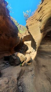 2022-02-GranCan-Barranco_Las_Vacas-PM-NN-16.jpg